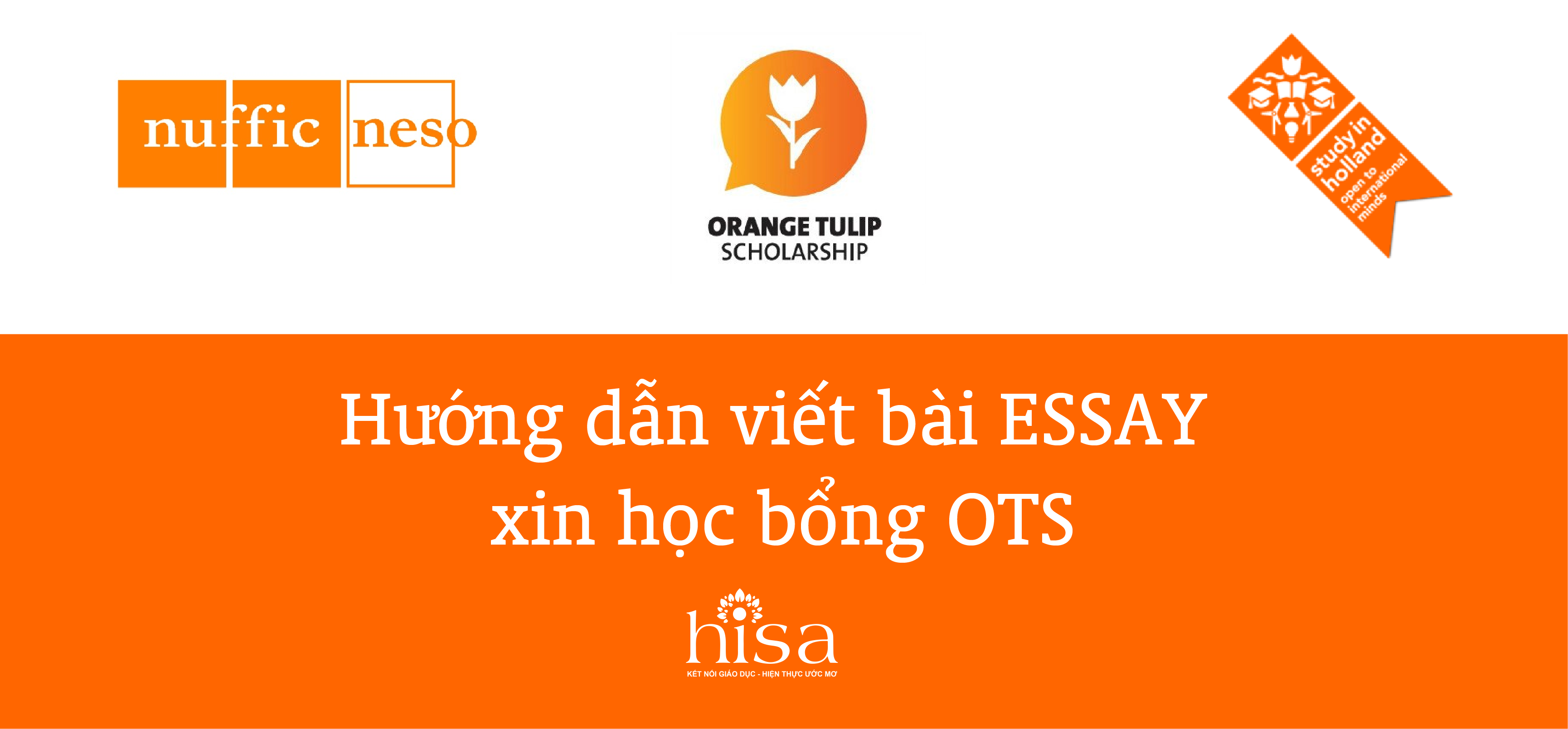 Hướng dẫn viết bài Essay tiểu luận xin học bổng Hà Lan OTS