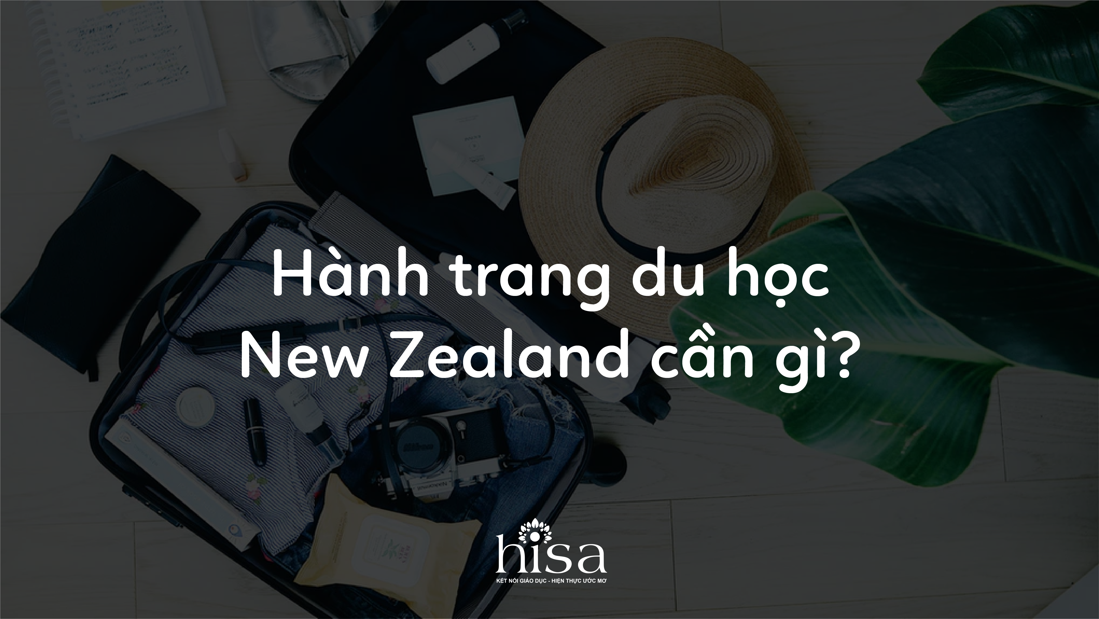 Hành trang du học new zealand đem theo gì