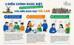 Trường đại học nghiên cứu và đại học ứng dụng ở Hà Lan